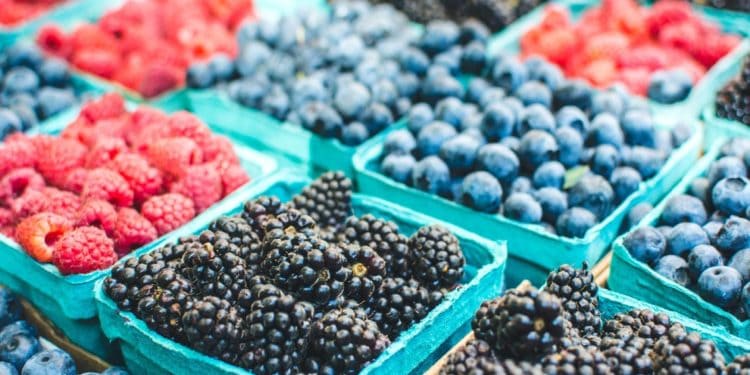 IBM Food Trust California Giant Berry Farms joins