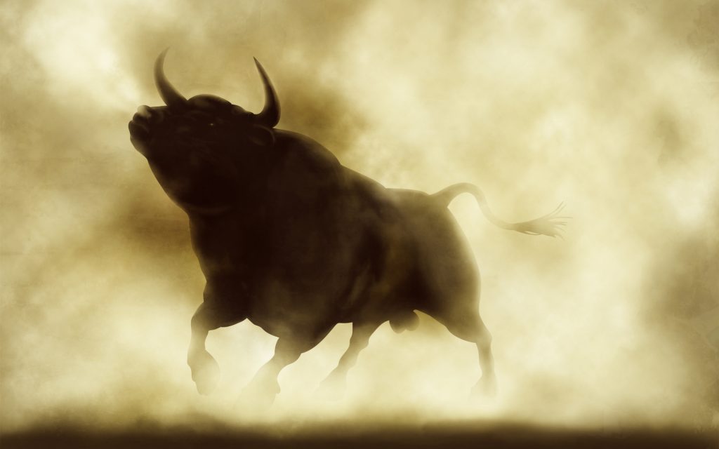 bull run