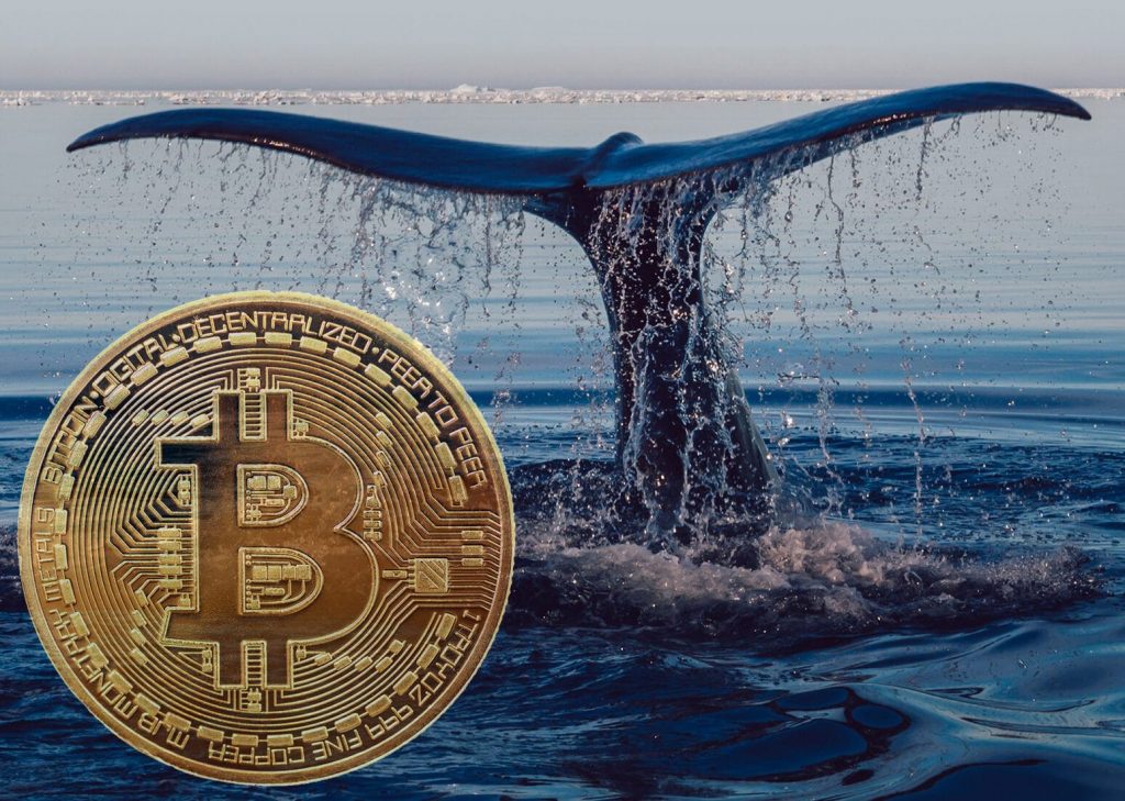 How Can You Spot and Avoid Crypto Market Manipulation by Whales