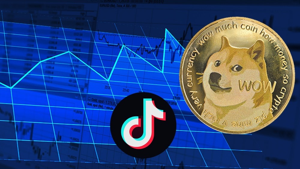 Is TikTok influencer getting rich using Dogecoin and illegal scheme? 