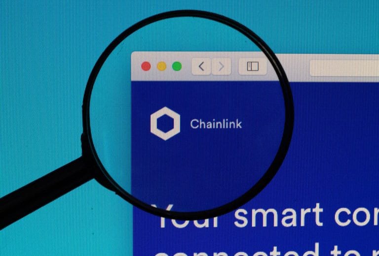 Top 100 ChainLink (LINK) Whales Have Grown their Bags by 5% in 1 Yr 6