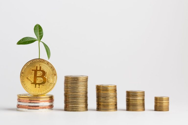 Why Bitcoin is growing: the fundamental reasons
