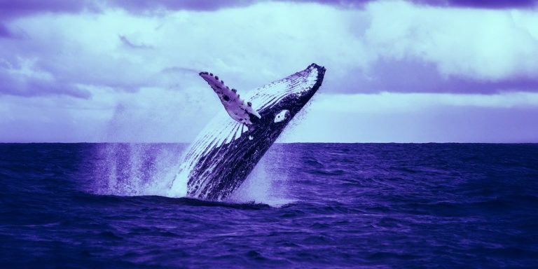 Billion-Dollar Bitcoin Whale Surfaces as Price Breaks All-Time High