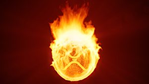XRP Crash Burns Other Crypto Asset Values, BTC Price Remains Unscathed