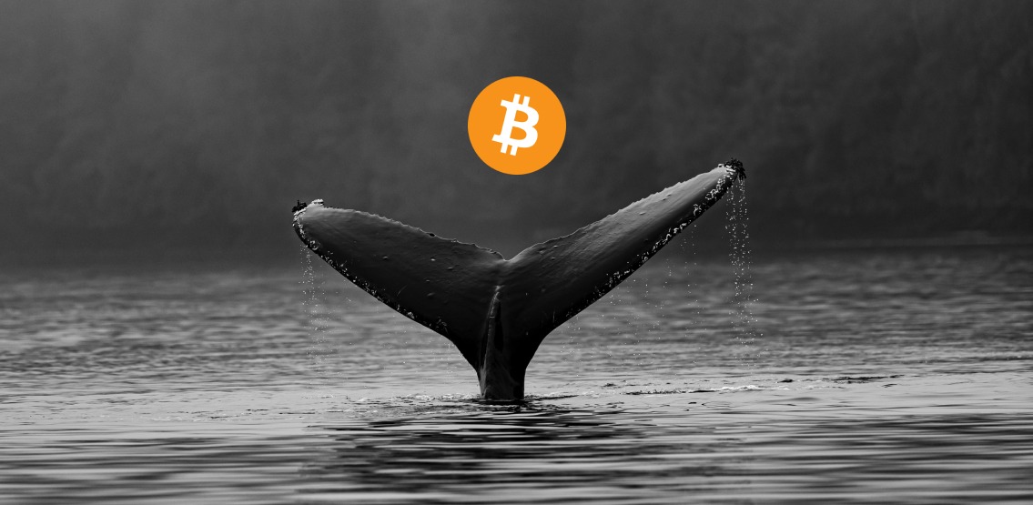 btc whale