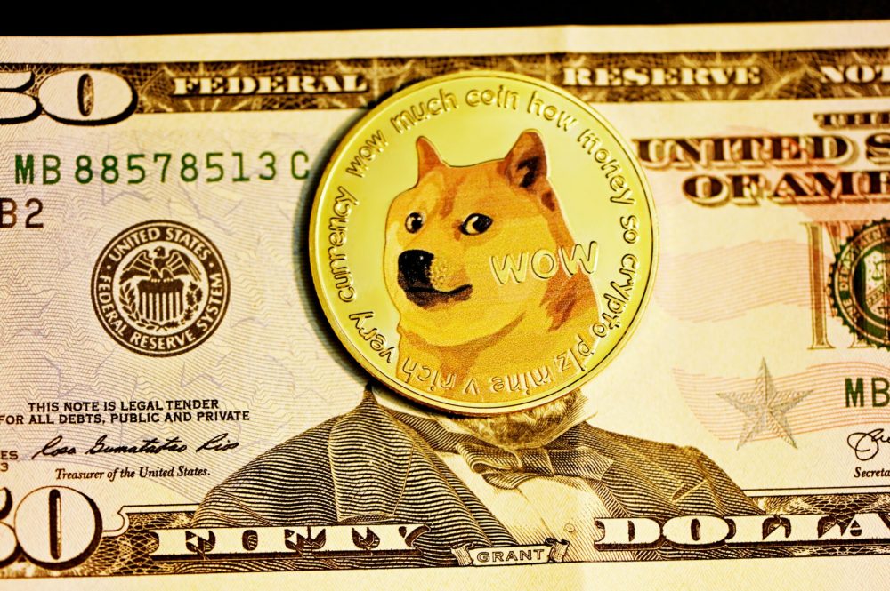 Dogecoin can now help real dogs