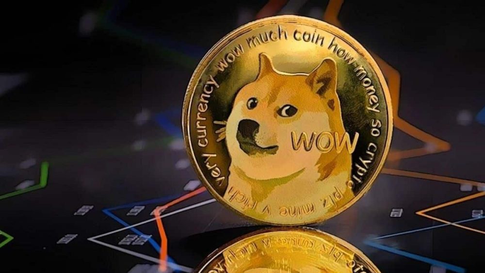 A pensioner blocked a wallet with 10 million DOGE!  Unbelievable, what happened after 6 years