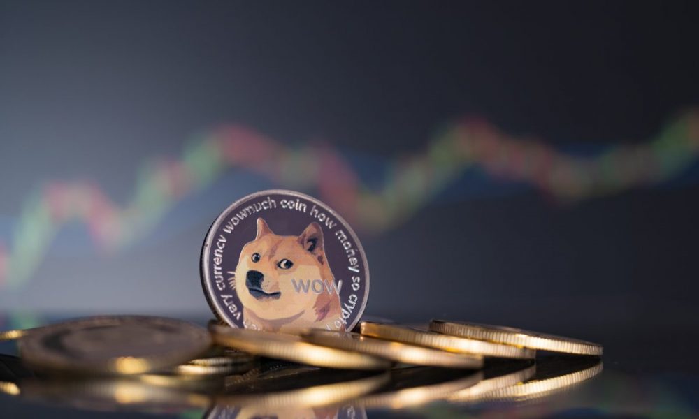 Collaborator of Elon Musk and Vitalik Buterin among the advisers of the board of the old-new Dogecoin Foundation
