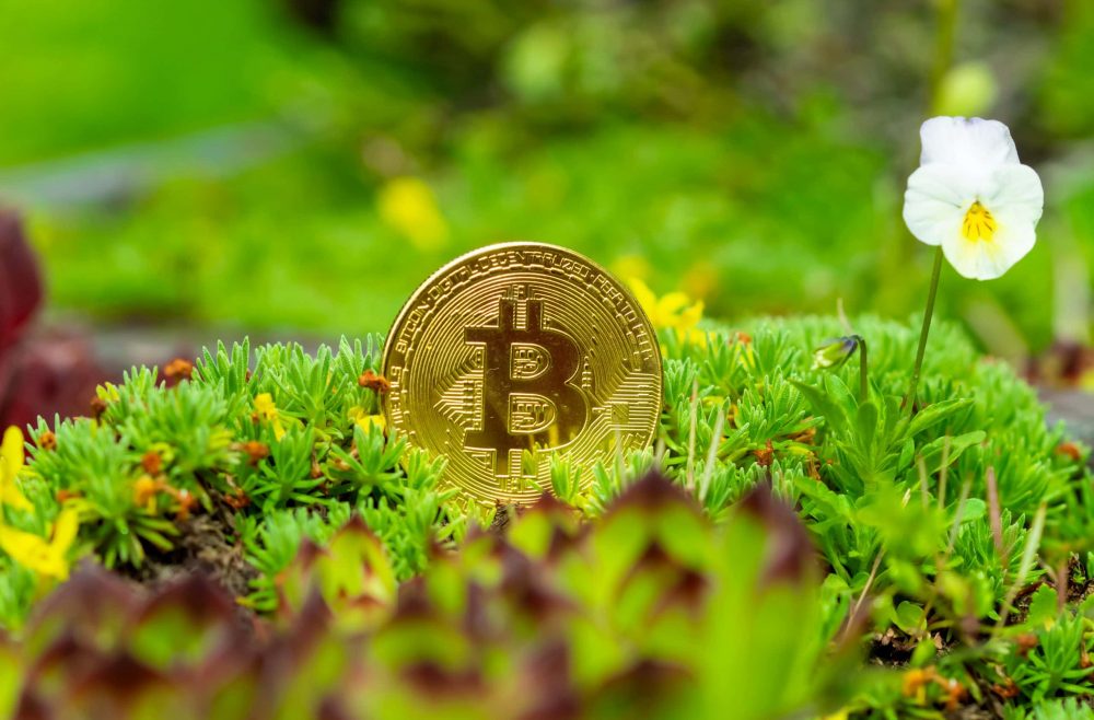 On the green wave – BTC mining is becoming (more) sustainable