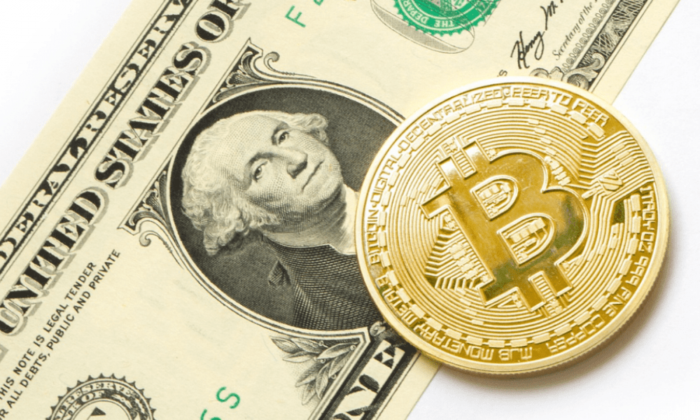 65% of Americans would agree to receive part of the salary in Bitcoin
