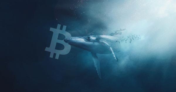 Mysterious BTC Whale Quiet For 7+ Years Suddenly Woke Up Just Before BTC Dropped Below $45K