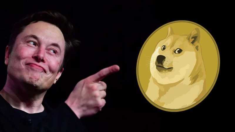 Elon Musk will continue to support DOGE ‘whenever possible’
