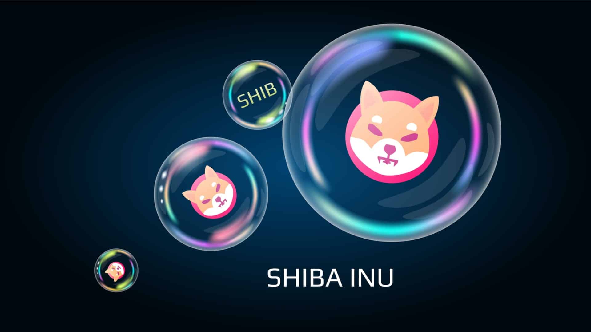 In one Paris restaurant will be possible to pay with Shiba Inu