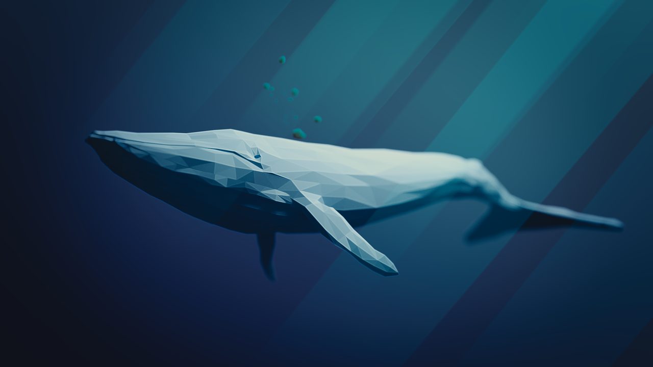 Kraken Report: Whales are driving this rally