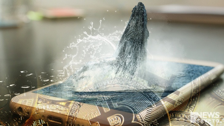 BTC whales break record and carry out 20 thousand transactions in a single day