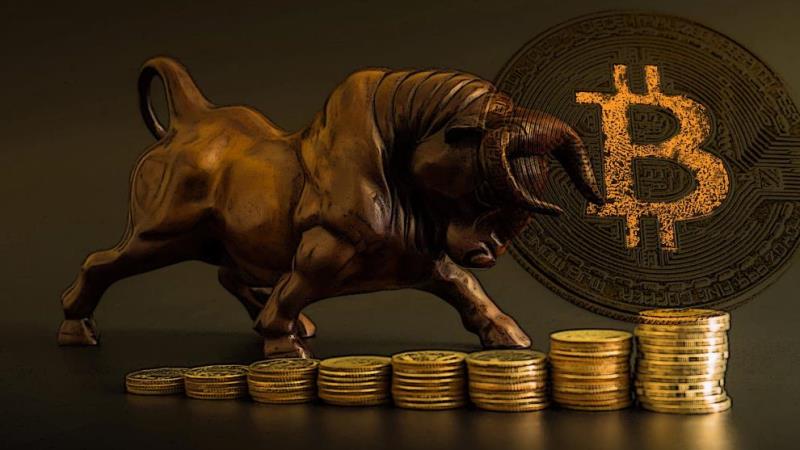 These graphs show that the next BTC bull run will not stop at $ 100,000, but much higher