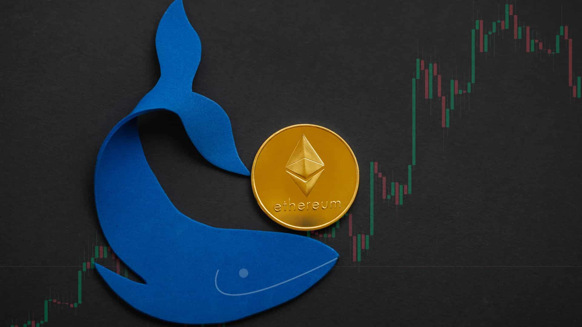 Whales buy bulk ETH, which has just reached its all-time high!