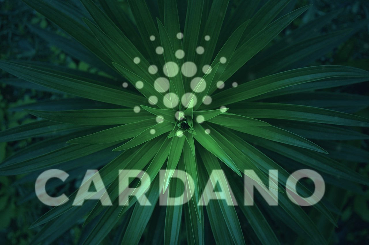 Grayscale suggests that Cardano may be undervalued