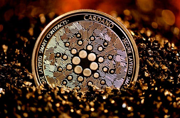 The development of the Cardano network increased the number of wallets by 1,200% during the year.