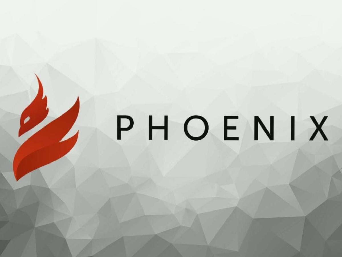 PHB Phoenix Global + 6,000% –  The whole truth about the boom of the moment