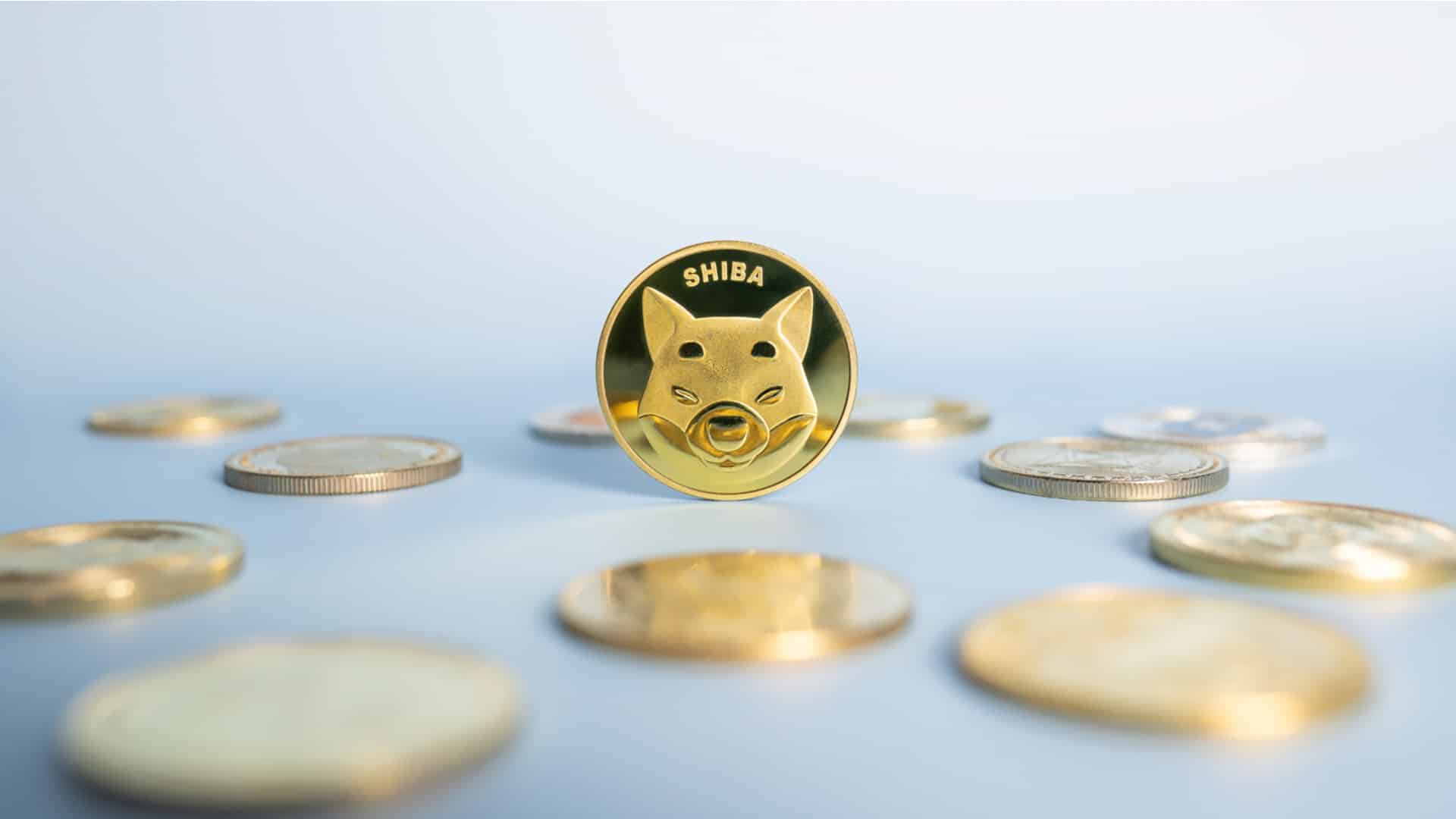 Another whale purchase SHIB tokens worth 1.13 billion – are we waiting for a bullrun?