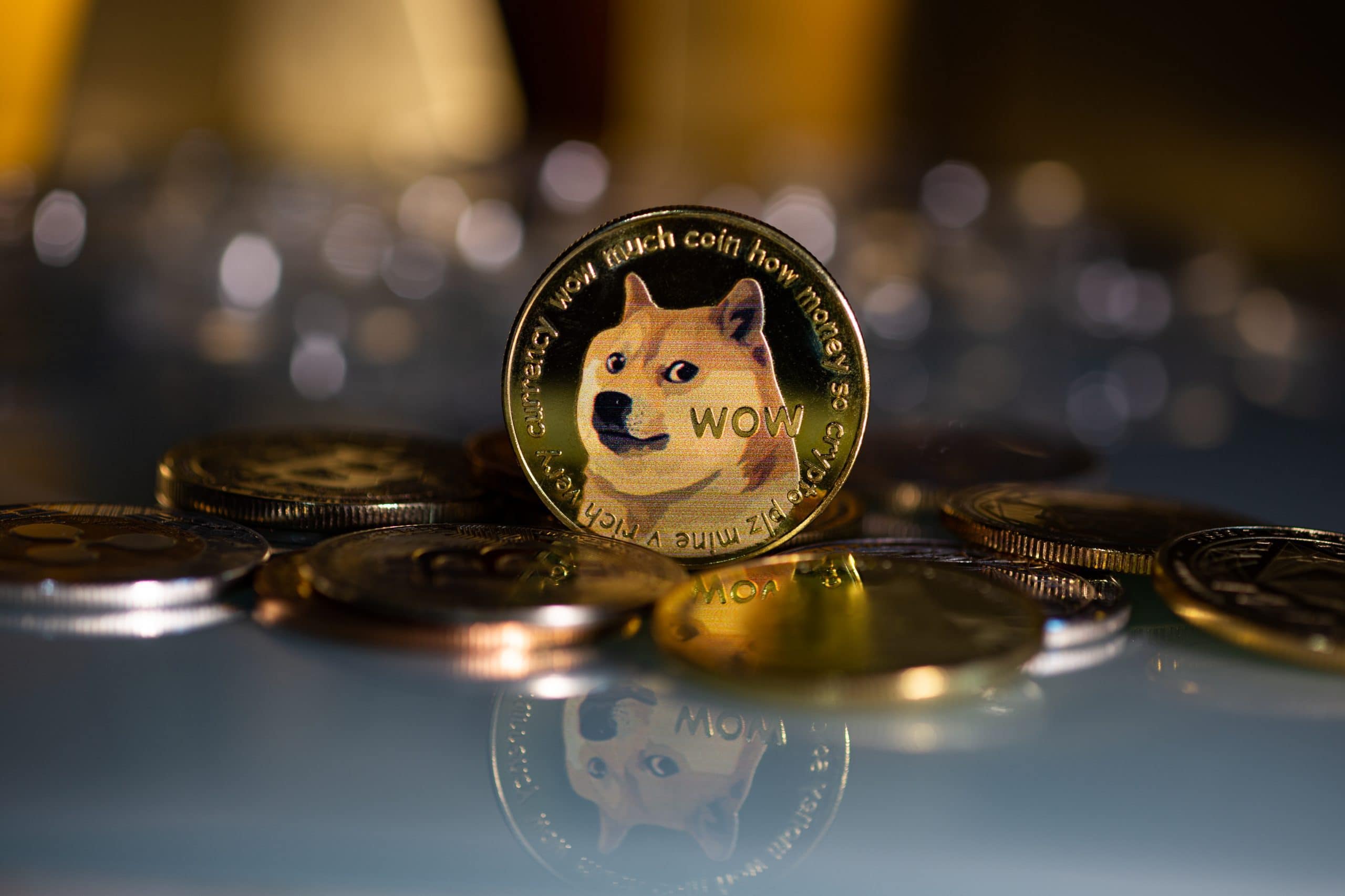 Dogecoin roadmap is intended to ensure widespread adaptation