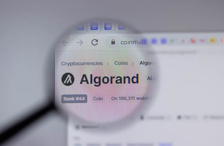 Algorand adds over 6 million new accounts in 2022