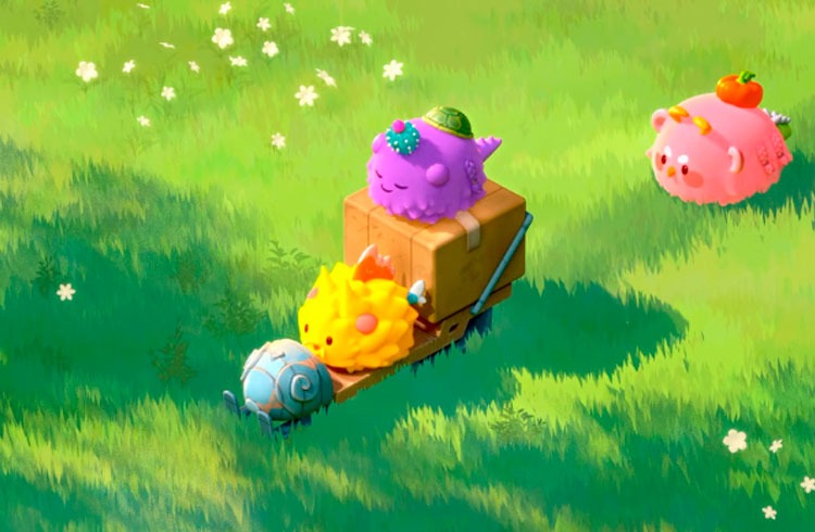 Axie Infinity Launches  Million Bounty Program After Ronin Hack