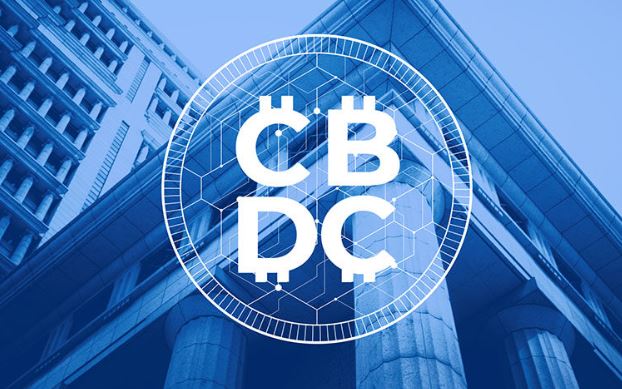 What does the public think of CBDC?