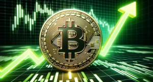 Bitcoin Token Rises 20% in 7 Days – Buy BTC Now?