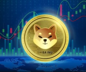 Shiba Inu price forecast: -14%! Is now the time to buy?