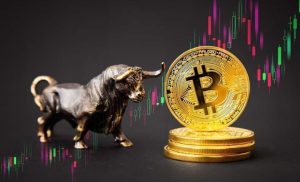 When will Bitcoin rise? In search of the bull run