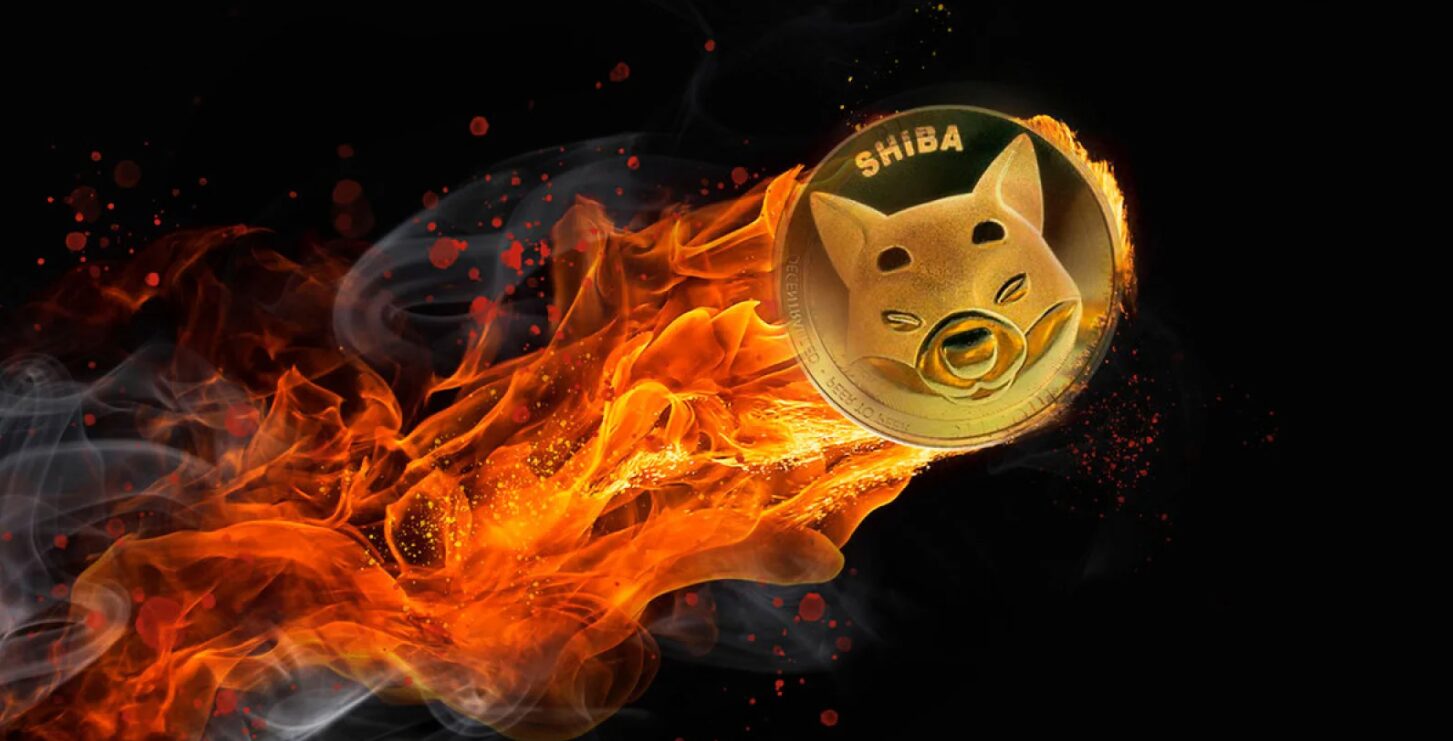 Shiba Inu burn rate increases by 10,990% and so does the price of SHIB - can it reach 1 USD?