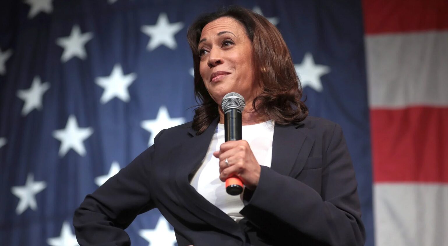 Kamala Harris wants to step up action against cryptocurrencies if elected