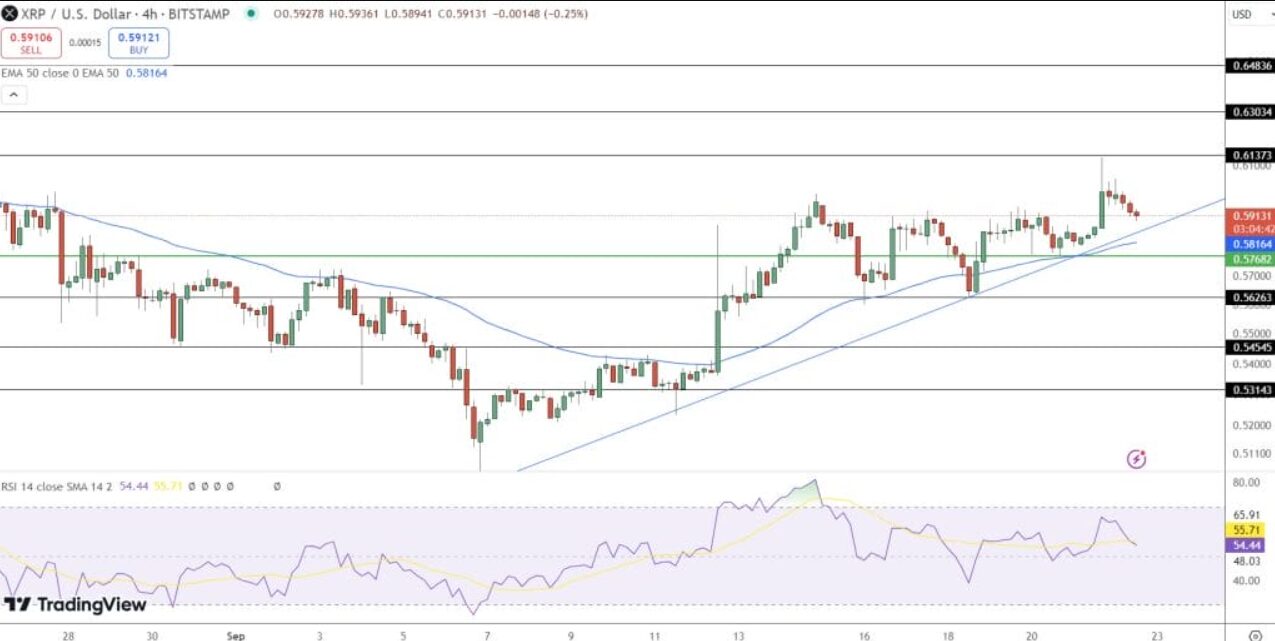 XRP Price Analysis: SEC prepares final appeal in Ripple case, where to go for investors?