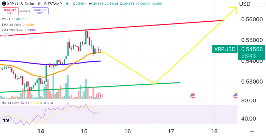 XRP price prediction: Rally expected as institutional investors invest heavily despite ongoing SEC lawsuit