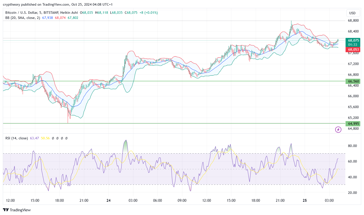 Bitcoin price analysis 25/10/2024: The Roller Coaster of Satoshi’s Dreams