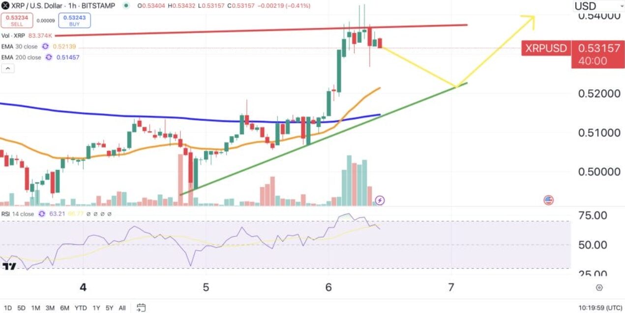 Trump's Election Raises XRP ETF Expectations – Could It Be Approved Quickly?