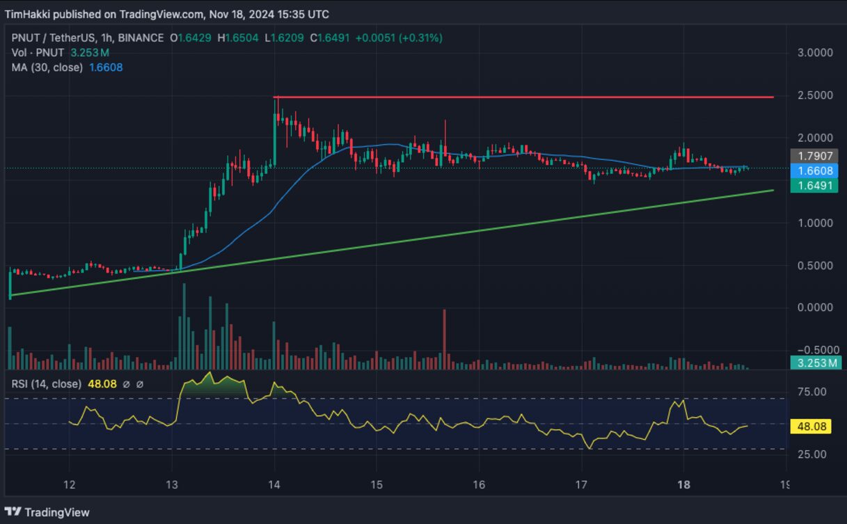 $PNUT Up 325% In 7 Days, Heading To New Record – Will This New Altcoin Be The Next Hot Deal?