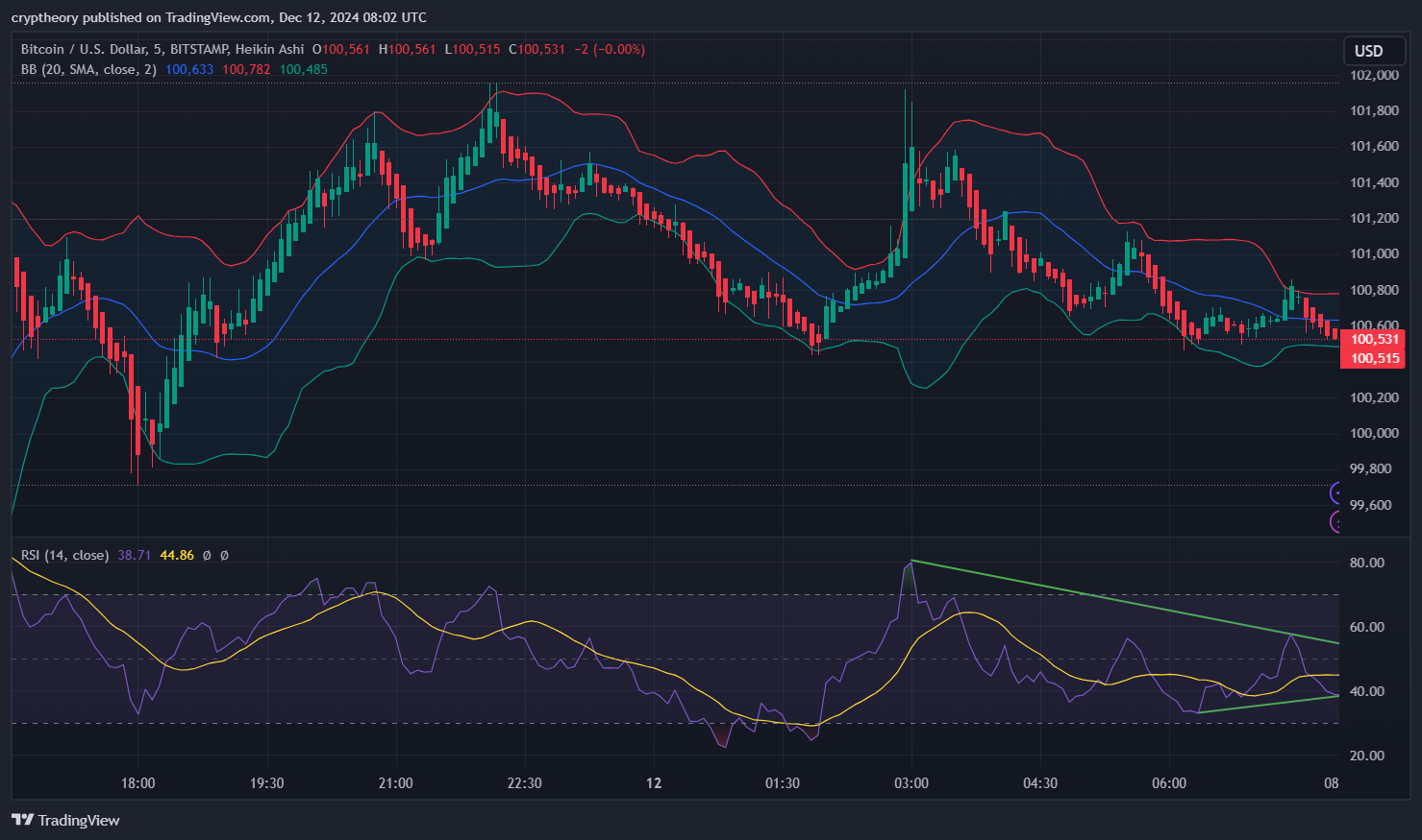 Bitcoin Price Analysis – 12/12/2024: A Tale of a Triangle Showdown