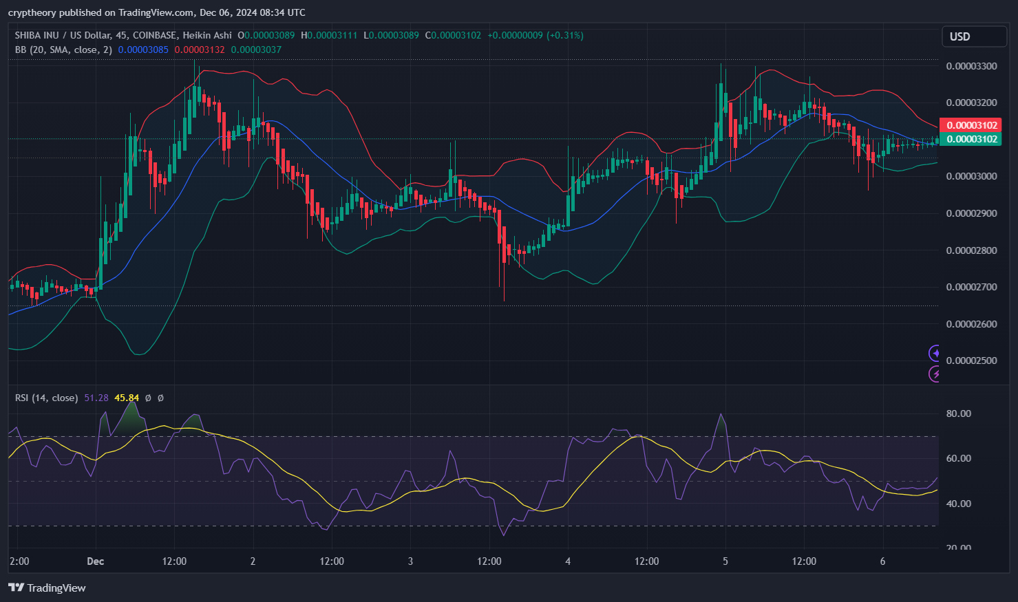 Shiba Inu Price Analysis: December 6, 2024