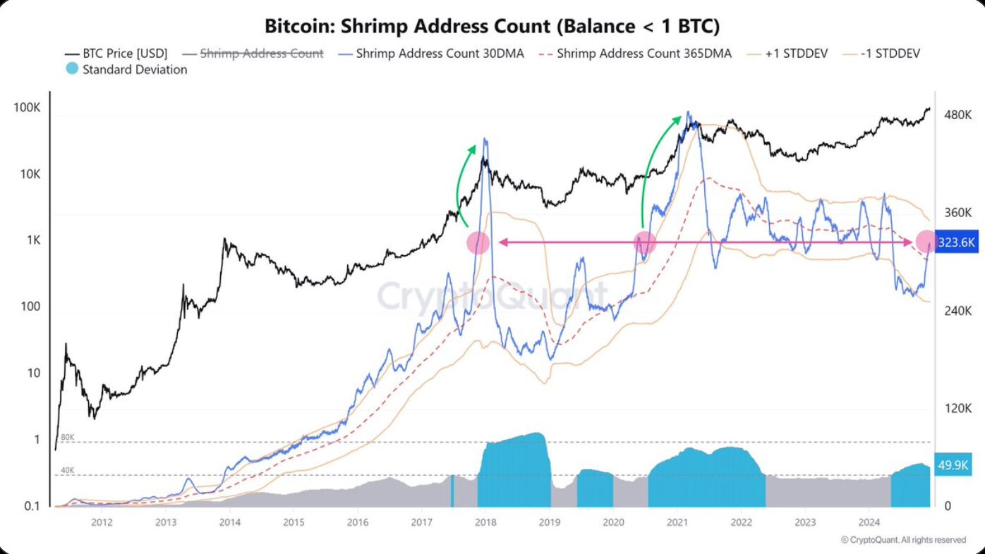 Bitcoin is becoming increasingly popular: Private investors are investing in large quantities, according to analyst