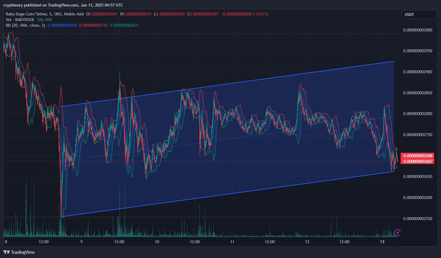 Baby Doge Coin (BABYDOGE) Price Analysis - January 13, 2025